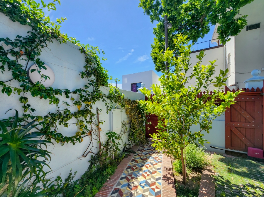 To Let 3 Bedroom Property for Rent in Oranjezicht Western Cape